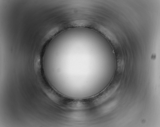 X0000103940254200809191424