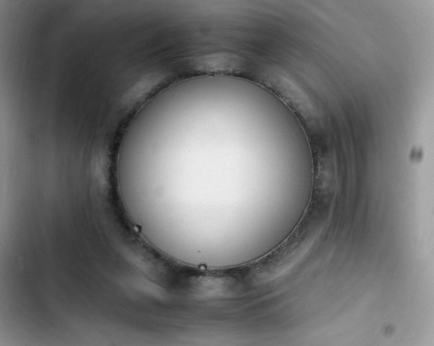 X0000103940255200809191424