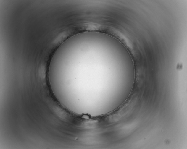 X0000103940257200809191424