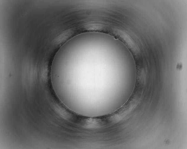 X0000103940261200809191424