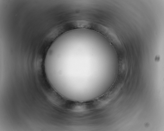 X0000103940263200809191424