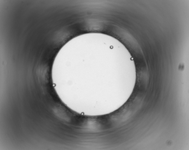 X0000103940264200809191424