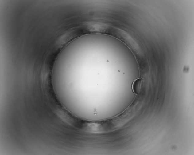 X0000103940265200809191424