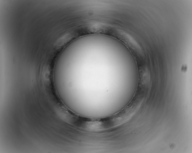 X0000103940266200809191424