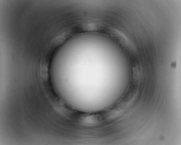 X0000103940267200809191424