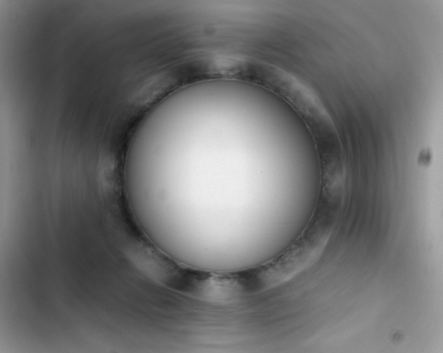 X0000103940270200809191424