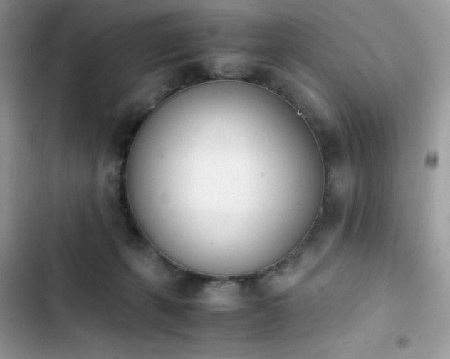 X0000103940271200809191424