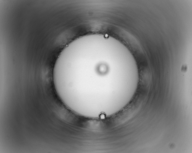 X0000103940272200809191424
