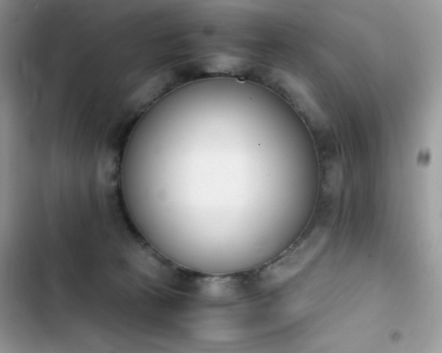 X0000103940273200809191424