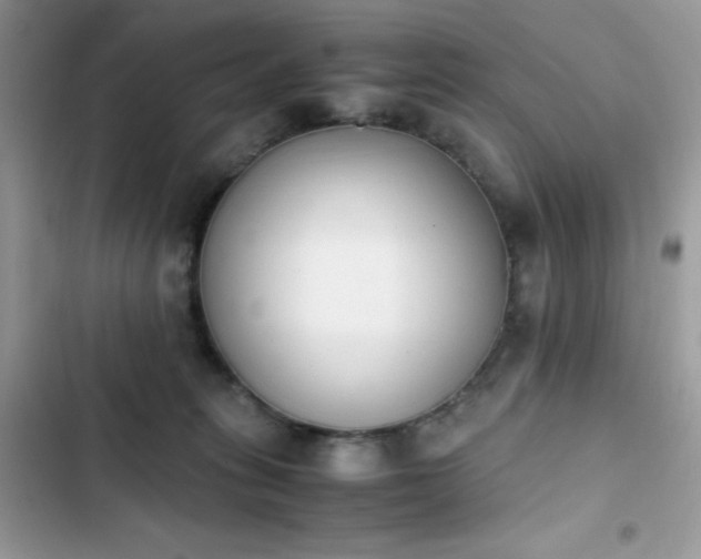 X0000103940275200809191424