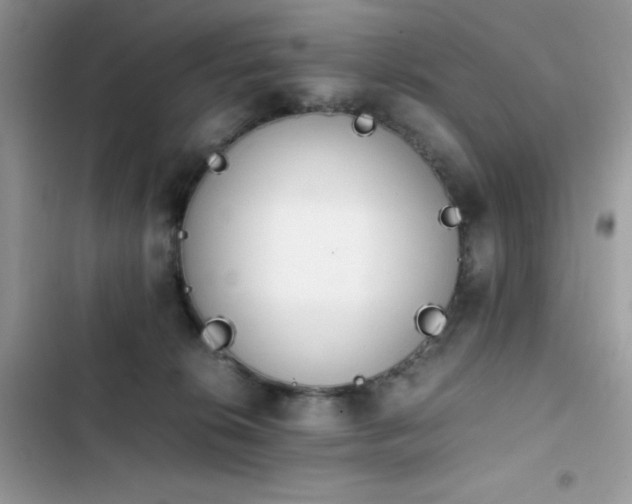 X0000103940276200809191424