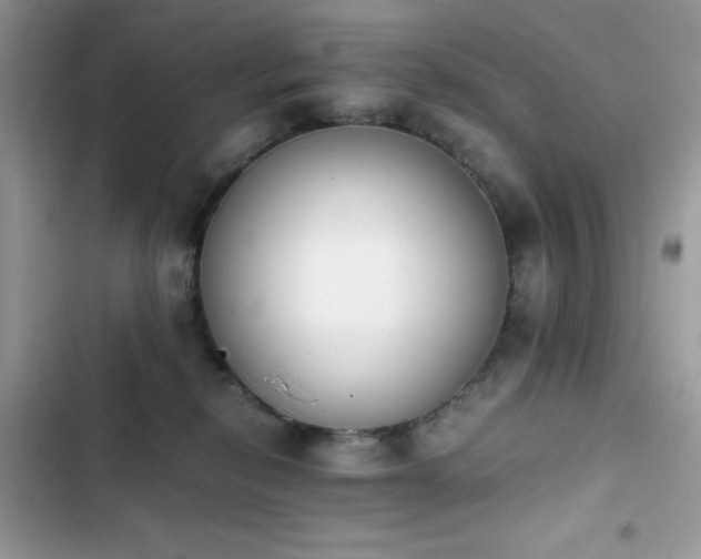 X0000103940278200809191424