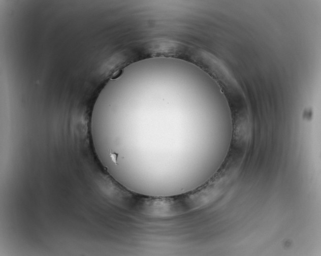 X0000103940282200809191424
