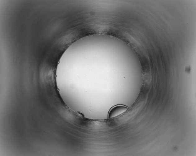 X0000103940286200809191424