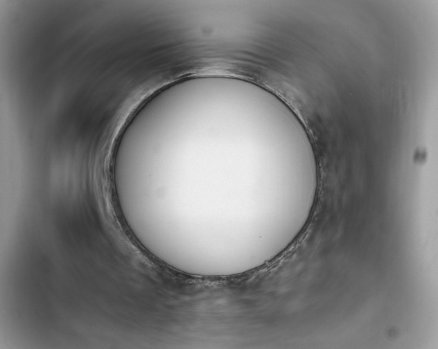 X0000103940289200809191424