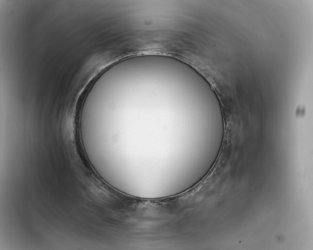 X0000103940290200809191423