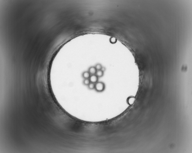 X0000103940293200809191423