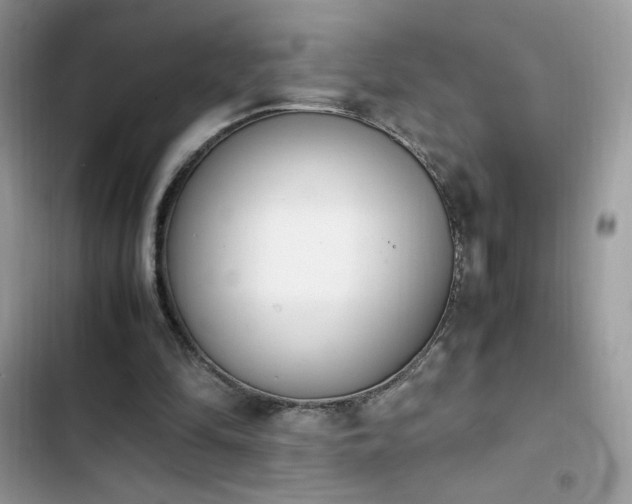 X0000103940294200809191423