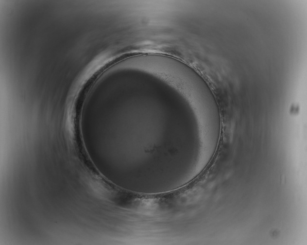 X0000103940295200809191423