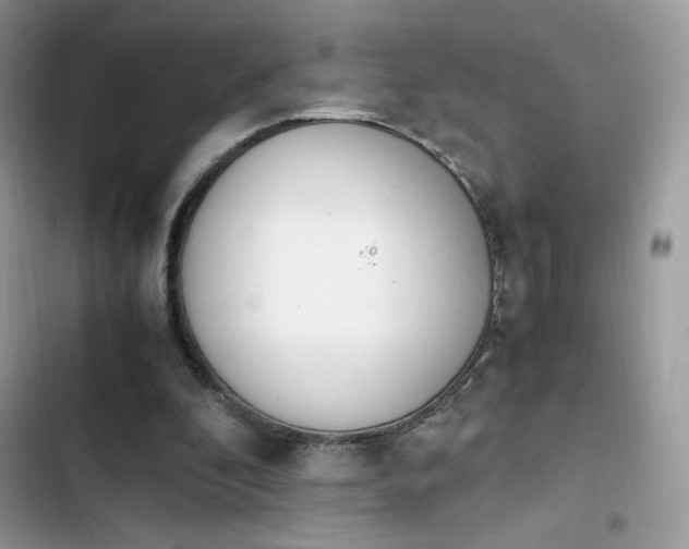X0000103940296200809191423