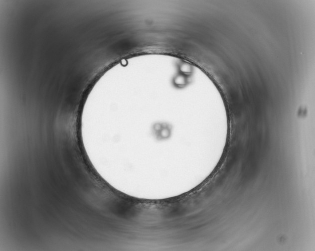 X0000103940297200809191423