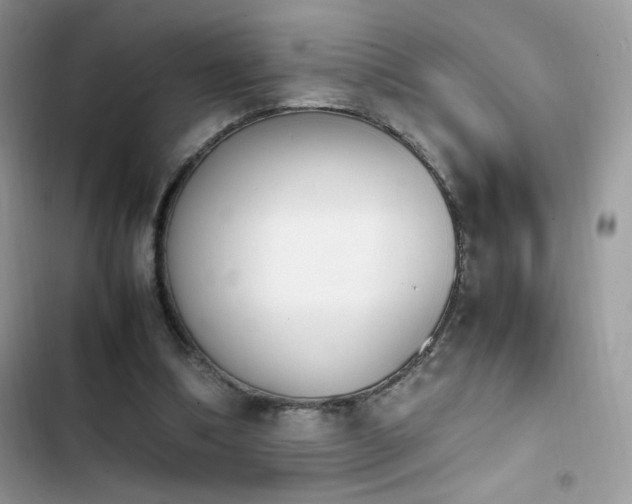 X0000103940298200809191423