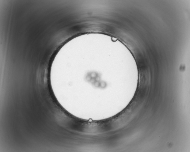 X0000103940301200809191423