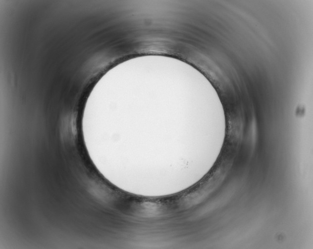 X0000103940302200809191423