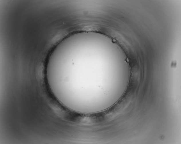 X0000103940303200809191423