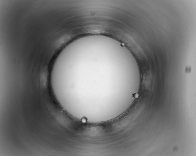 X0000103940304200809191423