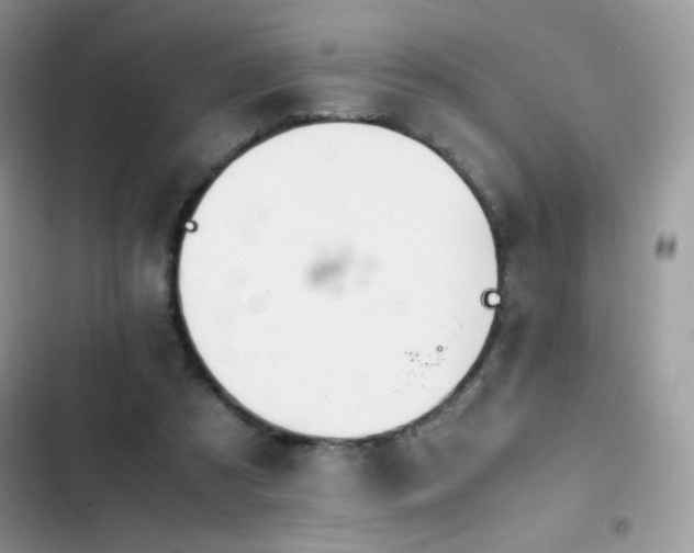 X0000103940305200809191423