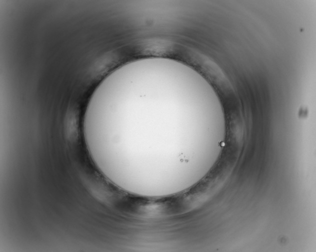 X0000103940312200809191423