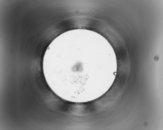 X0000103940313200809191423