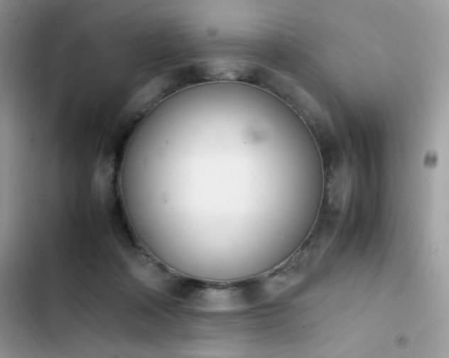 X0000103940314200809191423