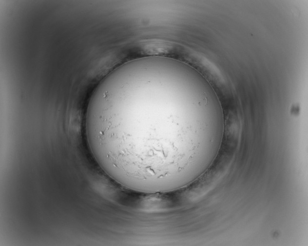 X0000103940315200809191423