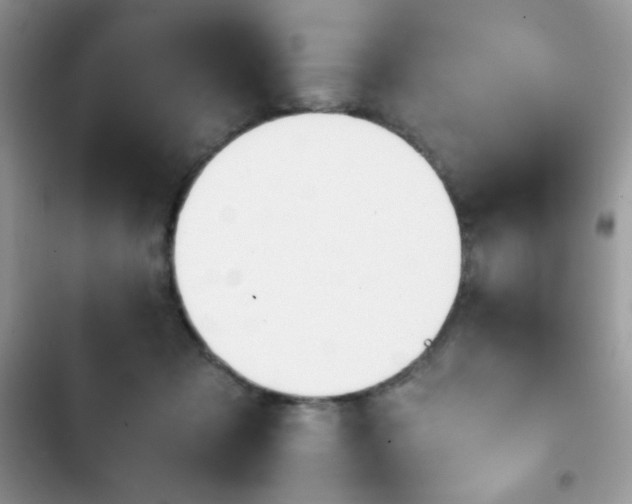 X0000103940317200809191423