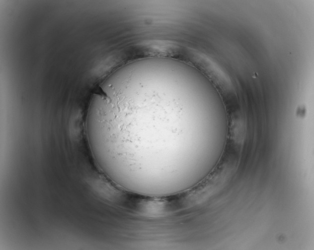 X0000103940318200809191423