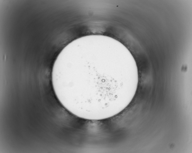 X0000103940321200809191423
