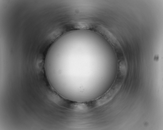 X0000103940322200809191423