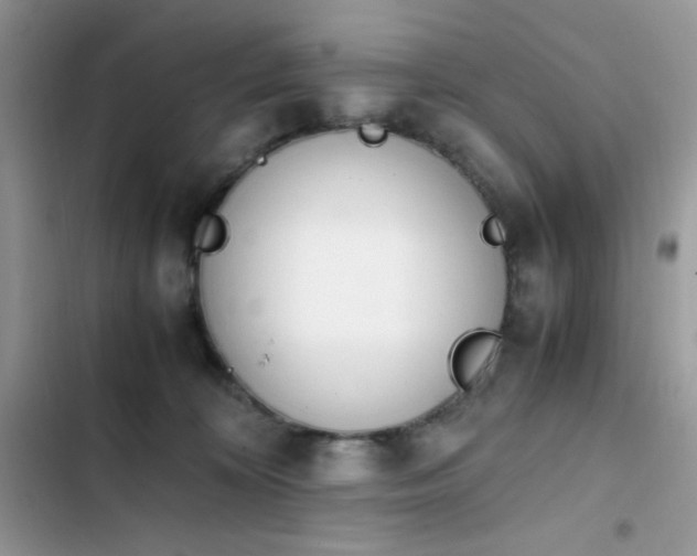 X0000103940324200809191423