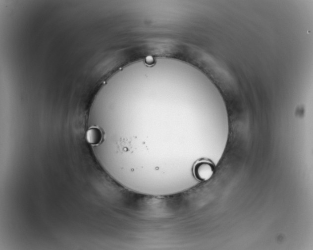 X0000103940325200809191423