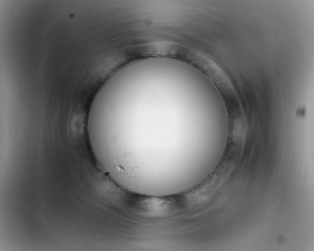 X0000103940326200809191423