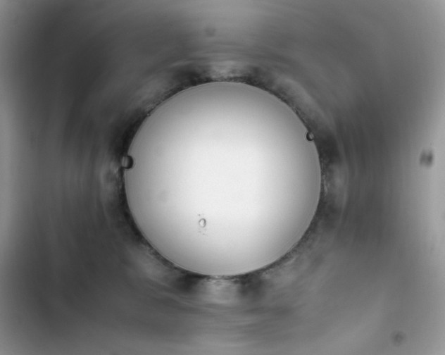 X0000103940327200809191423