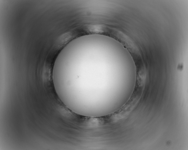 X0000103940330200809191423