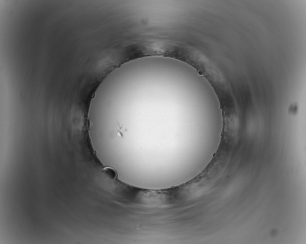 X0000103940331200809191423