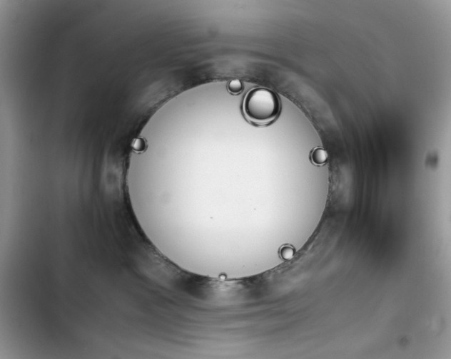 X0000103940333200809191423