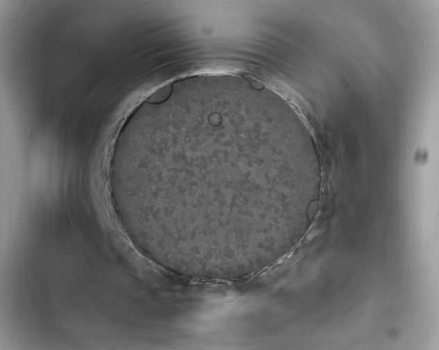 X0000103940337200809191422