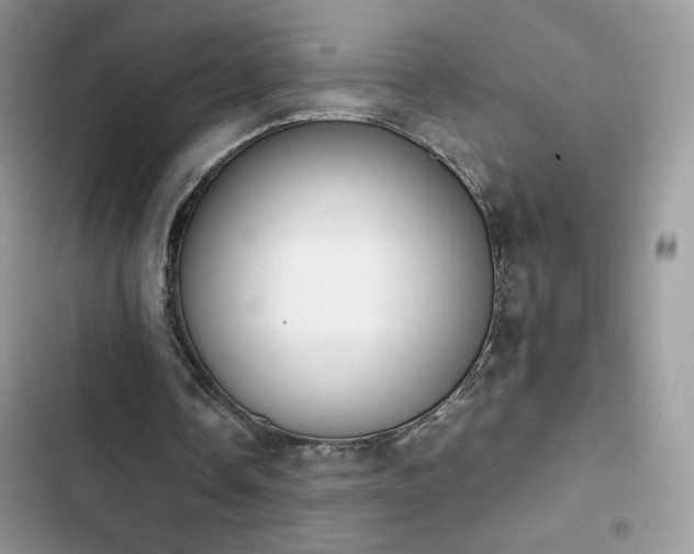 X0000103940338200809191422
