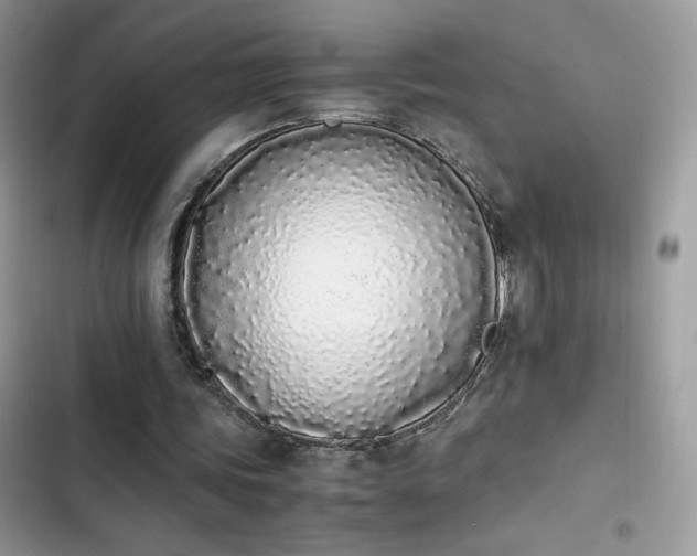 X0000103940339200809191422