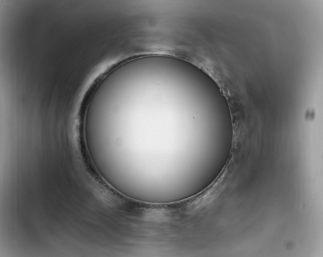 X0000103940342200809191422